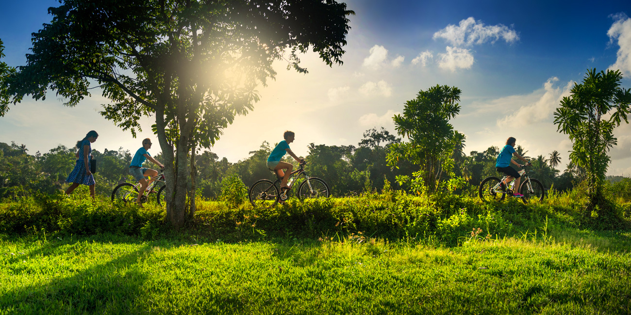 Guided paddy & lake cycling tour